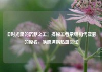 旧时光里的沉默之王！揭秘王者荣耀初代亚瑟的原名，唤醒满满热血回忆