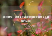 峡谷星光，谁才是王者荣耀中拥有最多个人荣耀的玩家？