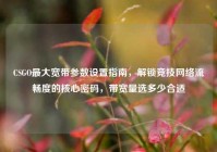 CSGO最大宽带参数设置指南，解锁竞技网络流畅度的核心密码，带宽量选多少合适