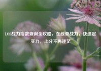 LOL战力指数查询全攻略，在线查战力，快速定实力，上分不再迷茫