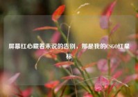 屏幕红心藏着未说的告别，那是我的CSGO红星标