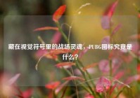 藏在视觉符号里的战场灵魂，PUBG图标究竟是什么？