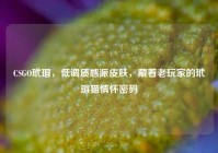 CSGO玳瑁，低调质感派皮肤，藏着老玩家的玳瑁猫情怀密码
