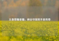 王者荣耀老猫，峡谷守家的不老传奇