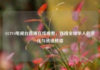 CCTV4电视台直播在线观看，连接全球华人的文化与资讯桥梁