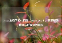Steam生态下的GG网站（Steam GGO），玩家辅助利器与合规边界解析