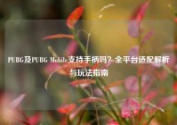 PUBG及PUBG Mobile支持手柄吗？全平台适配解析与玩法指南