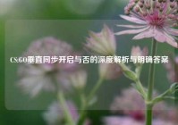 CS:GO垂直同步开启与否的深度解析与明确答案