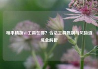 和平精英YD工具在哪？合法工具甄别与风险避坑全解析