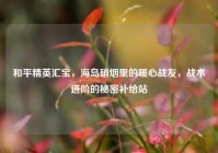 和平精英汇宝，海岛硝烟里的暖心战友，战术进阶的秘密补给站