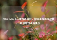 PUBG Mobile Rose甜妹语音包，软萌声线击穿战场，解锁吃鸡全新快乐