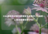 PUBG叙利亚战损风藏硬核生存美学，14油耗一公里到底要投多少钱？