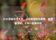 PUBG亚服名字大全，从炫酷拽到治愈萌，附亚服全称，总有一款戳中你