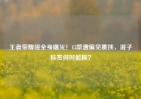 王者荣耀瑶全身曝光！15禁遭偏见裹挟，混子标签何时能摘？