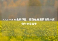CSGO AWP VP像素印花，藏在枪身里的独联体传奇与电竞青春