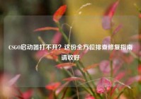 CSGO启动器打不开？这份全方位排查修复指南请收好
