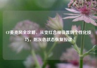 CF麦克风全攻略，从变红合规设置到个性化技巧，附灰色状态恢复按键