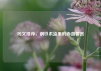 同文推荐，钢铁洪流里的赤血誓言
