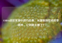COD16战区实用小技巧合集，从落地到吃鸡胜率飙升，它到底去哪了？