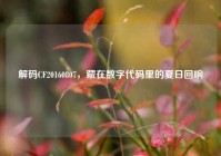 解码CF20160807，藏在数字代码里的夏日回响