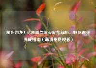 枪出如龙！S5赛季赵信天赋全解析，野区霸主养成指南（高清免费观看）