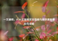 一文通晓，PUBG正版购买全指南与高铁票购票软件攻略