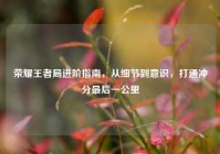 荣耀王者局进阶指南，从细节到意识，打通冲分最后一公里