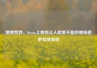 驰骋荒野，Steam上那些让人欲罢不能的硬核越野驾驶游戏