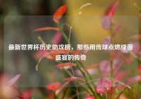 最新世界杯历史助攻榜，那些用传球点燃绿茵盛宴的传奇