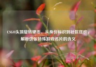 CSGO头顶旋转硬币，从身份标识到社区狂欢，解析这张特殊游戏名片的含义