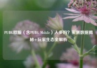 PUBG欧服（含PUBG Mobile）人多吗？实测数据揭秘+玩家生态全解析