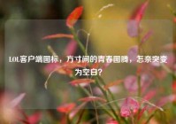 LOL客户端图标，方寸间的青春图腾，怎奈突变为空白？