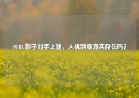PUBG影子对手之谜，人机到底真实存在吗？
