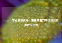 Steam，不止是游戏库，更是藏着万千绝美景色的数字秘境