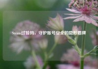 Steam过验码，守护账号安全的隐形盾牌