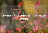 和平精英自制皮肤使用全攻略，从导入到实战完整教程