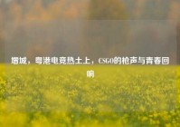 增城，粤港电竞热土上，CSGO的枪声与青春回响