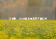 若夏树，LOL峡谷星光里的青春回响