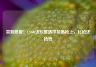 笑到喷饭！CSGO这些整活印花贴枪上，比枪还抢镜