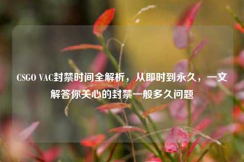 CSGO VAC封禁时间全解析，从即时到永久，一文解答你关心的封禁一般多久问题