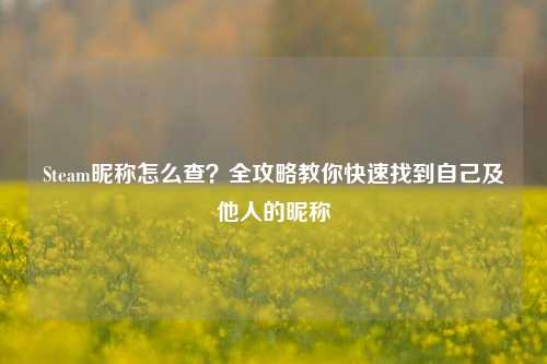 Steam昵称怎么查？全攻略教你快速找到自己及他人的昵称