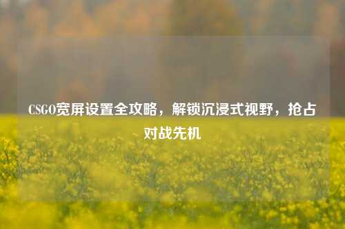 CSGO宽屏设置全攻略，解锁沉浸式视野，抢占对战先机