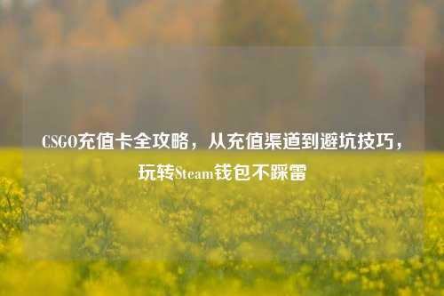 CSGO充值卡全攻略，从充值渠道到避坑技巧，玩转Steam钱包不踩雷