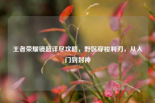 王者荣耀镜超详尽攻略，野区穿梭利刃，从入门到封神