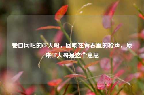 巷口网吧的CF大哥，回响在青春里的枪声，原来CF大哥是这个意思