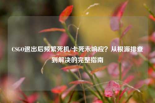 CSGO退出后频繁死机/卡死未响应？从根源排查到解决的完整指南