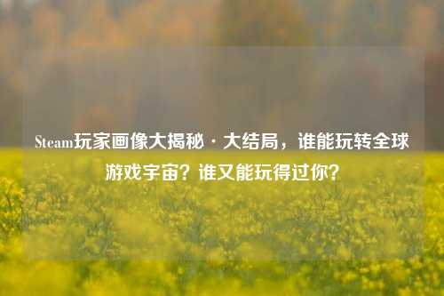 Steam玩家画像大揭秘·大结局，谁能玩转全球游戏宇宙？谁又能玩得过你？