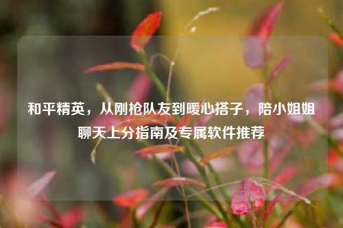 和平精英，从刚枪队友到暖心搭子，陪小姐姐聊天上分指南及专属软件推荐