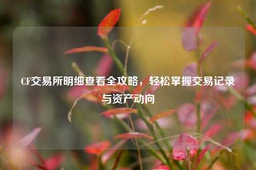 CF交易所明细查看全攻略，轻松掌握交易记录与资产动向