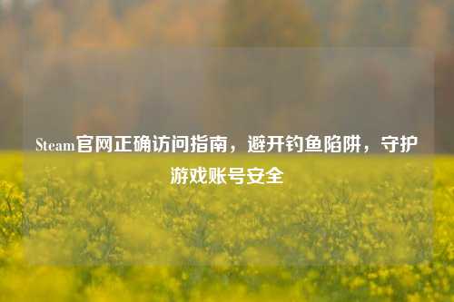 Steam官网正确访问指南，避开钓鱼陷阱，守护游戏账号安全